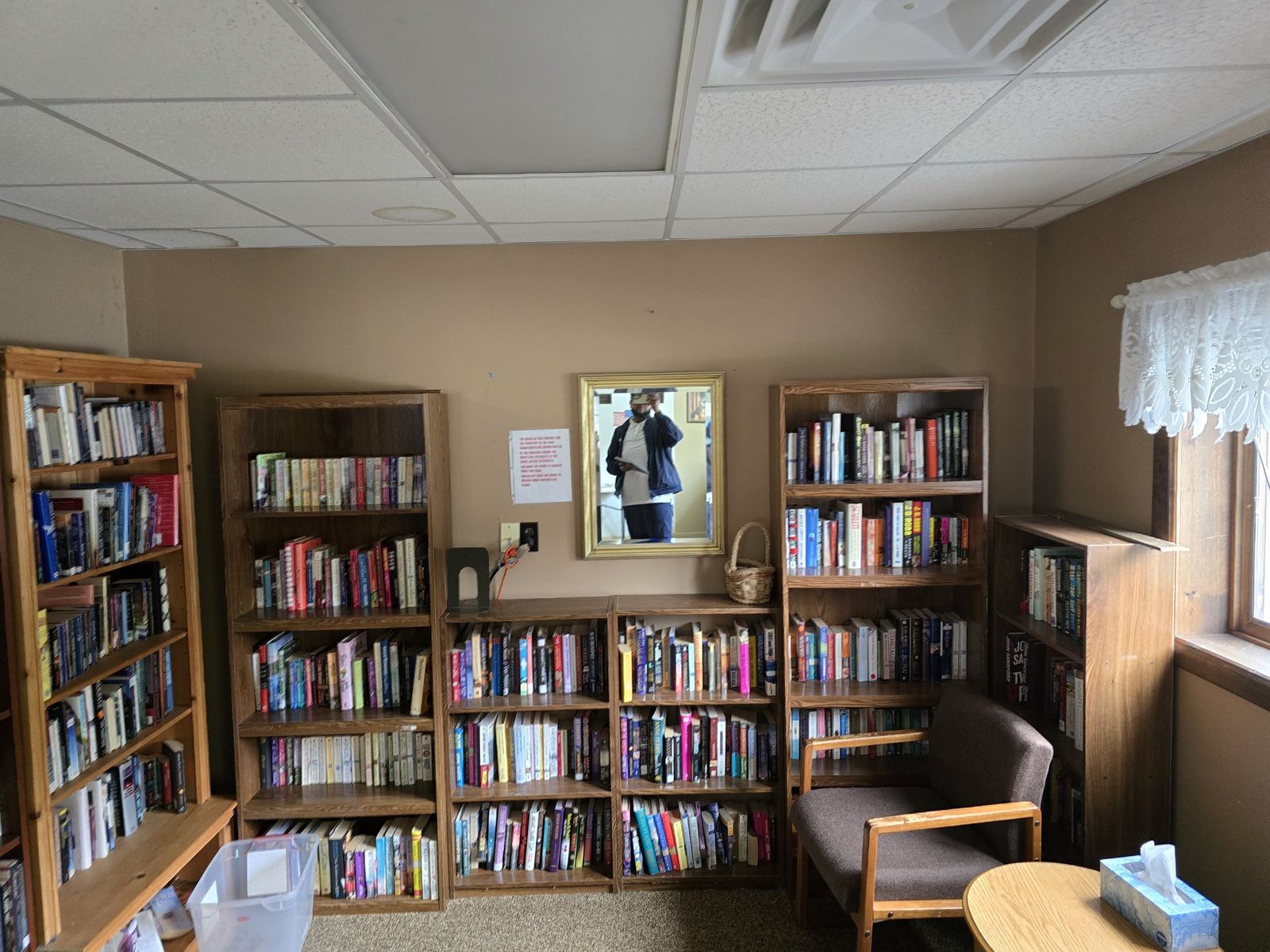 Commercial library interior with painted walls