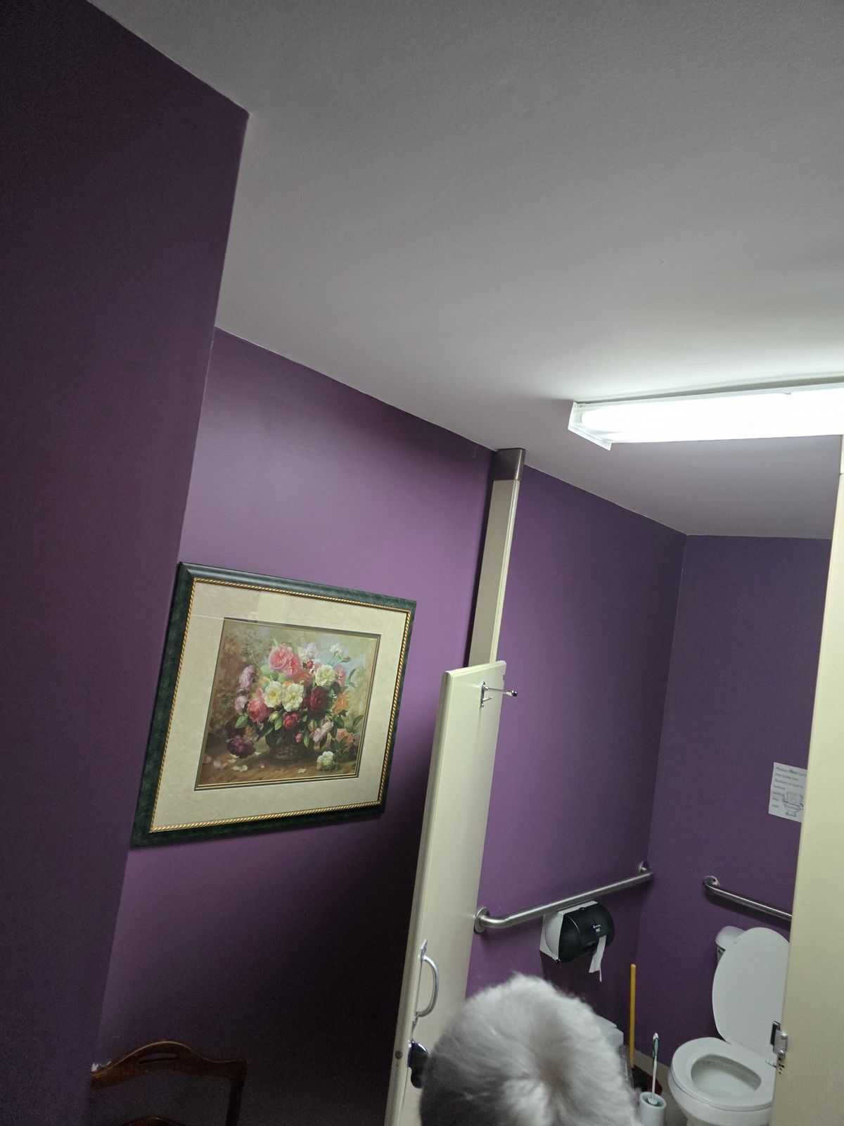 Commercial restroom with painted walls